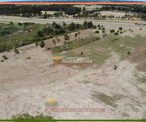 Imagen 11 de 14 de Terreno En Alquiler 44.857 M2 Urbanos Ruta 5 Apto Parque Industrial U$s 0.10 (el M2)