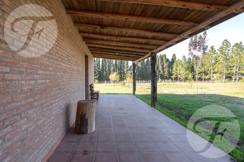 Venta De Chacra En San Pedro - Casa De 430 M2 - Gobernador Castro - Pecan Y Arboleda