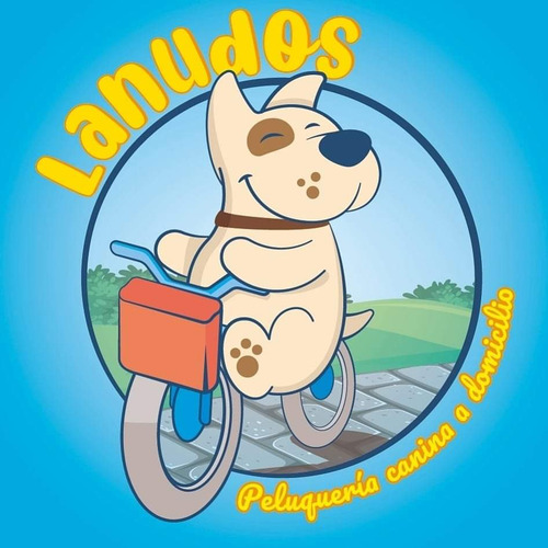 Peluquería Canina A Domicilio Consultar Zonas