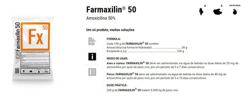 Farmaxilin 200 G Amoxilina Farmabase-10 Unidades