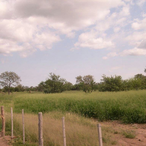Imagen 6 de 13 de Campo Ganadero 4.300 Has ( San Francisco Del Chañar. Cba )