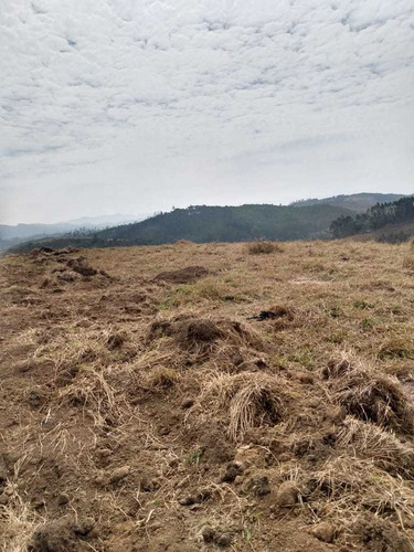 Imagem 4 de 10 de 08- Terreno De 10 Mil M2 Com Área De Preservação