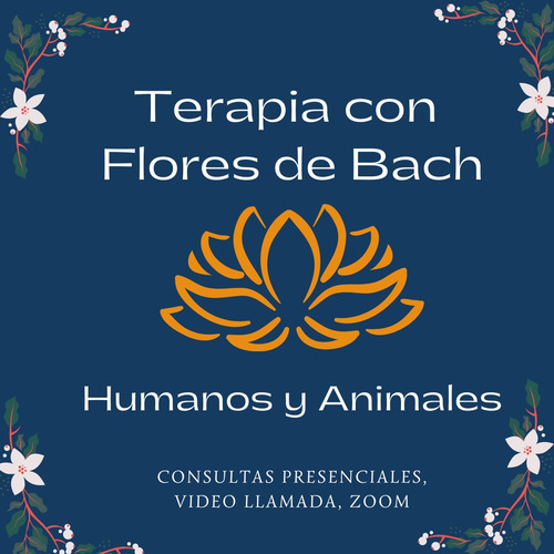 Imagen 5 de 7 de Clases De Yoga, Reiki, Ensueño Dirigido,terapia Floral Bach