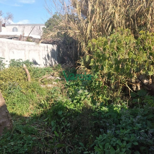 Imagen 9 de 10 de Casa En Venta Maroñas 3 Dorm 2 Baños Cochera X 2 Fondo Parrillero - Montevideo Maroñas