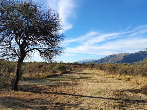 Imagen 10 de 14 de Lote De 1976,64m2 - Bosquecito De Melany