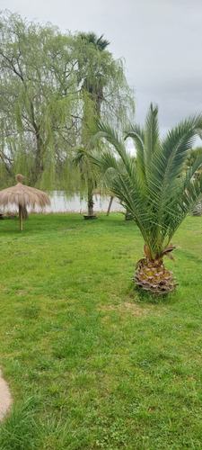 Se Arrienda Casa A Orilla Lago Rapel