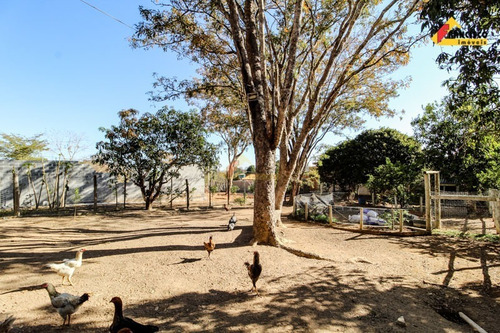 Imagem 23 de 29 de Chácara À Venda, 3 Quartos, 10 Vagas, Marilândia - Itapecerica/mg - 44085