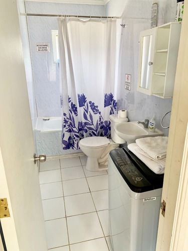 Arriendo Cabaña Frutillar Bajo (julio A Diciembre)