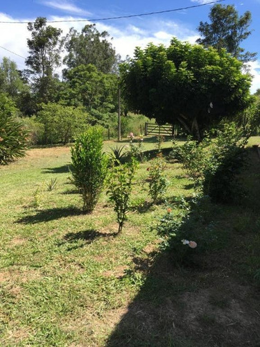 Imagem 12 de 30 de Sítio À Venda, 150000 M² Por R$ 550.000,00 - Largo Santa Cruz - Espírito Santo Do Pinhal/sp - Si0013