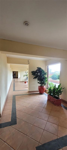 Departamento En Venta De 3 Dorm. En Concepción