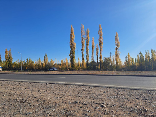 Imagen 19 de 21 de Venta Local Y Galpón A Estrenar En Pozo Cipolletti