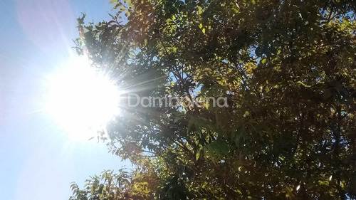 Imagen 17 de 25 de Terreno En Venta O Permuta Ubicado En Punta Indio, Resto De La Provincia