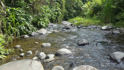 Imagen 19 de 20 de Hermosa Finca Cerca A Pereira