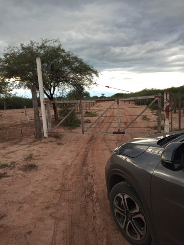 Imagen 5 de 7 de Gran Campo Ganadero!