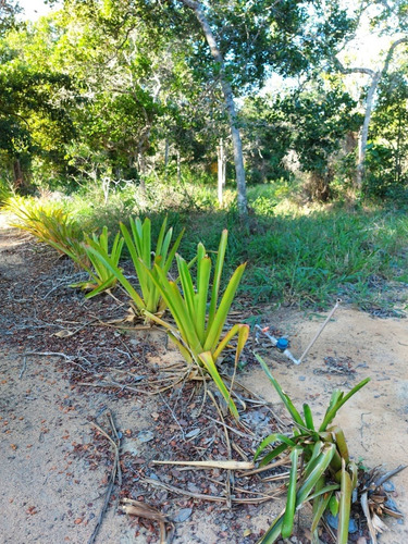 Imagem 17 de 23 de Terreno À Venda Em Arraial D'ajuda - Porto Seguro, Terreno Plano Com Área Limpa Pronta Para Construção, Ponto De Água, Energia, Área De Lazer E Playground