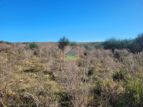 Imagen 9 de 20 de 33 Hás De Campo Lavalleja