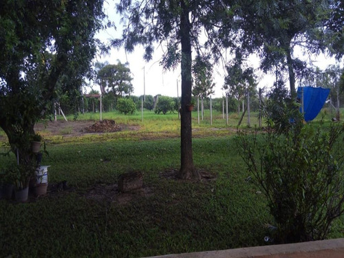 Imagem 22 de 23 de Linda Chácara À Venda Em Porto Feliz - Ch00323 - 69178450