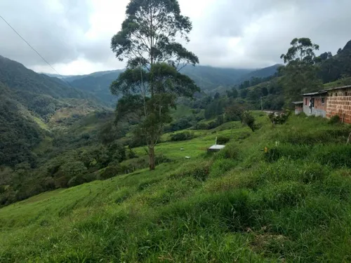 Lote En Venta En Yarumal