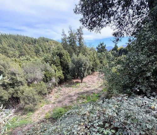 Sector Rural Precordillerano De Linares (169190)