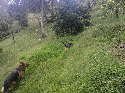 Imagen 25 de 30 de #casa Finca Campestre En Venta El Retiro Lejos Del Nido