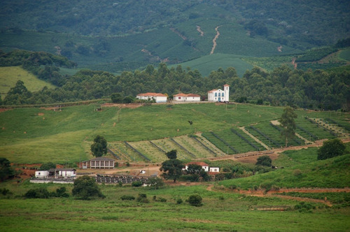 Fazenda A Venda No Sul De Minas Com 470 Ha - Bcp93