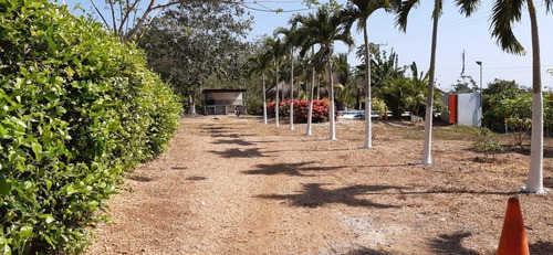 Imagen 2 de 6 de Venta De Lote En Turbaco Vía A Turbana.