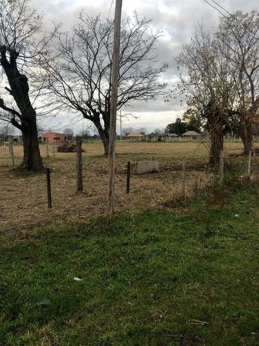 Imagen 14 de 24 de Lote Con Caballerizas Vende O Permuta