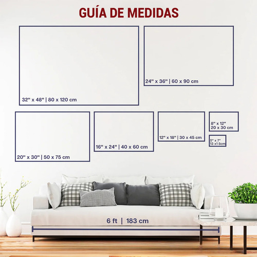 Cuadro De Flores En Rayos-x En Blanco Y Negro Para Baño 30x