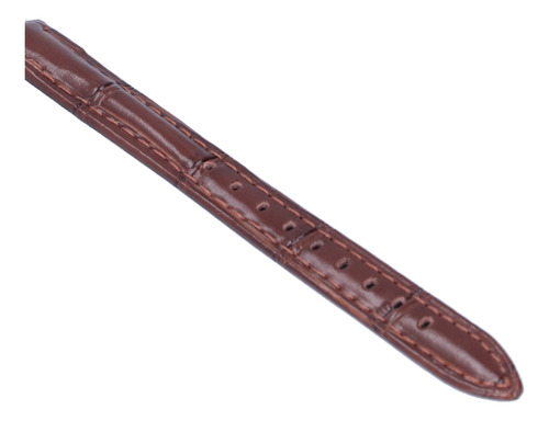 Correa De Reloj De Pulsera Hebilla De Pasador Reemplazo De