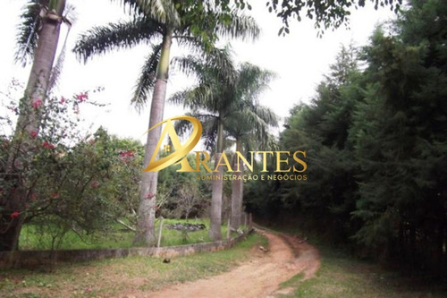Imagem 20 de 20 de Chacara - Ch00374 - 70806946