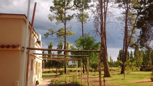 Venta Lote Campo Casa Mendoza General Alvear Bowe