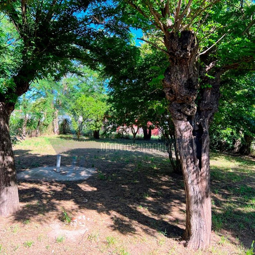 Se Vende Propiedad En Del Carril, Saladillo