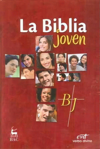 La Biblia Joven, De Desconocido. Editorial Verbo Divino, Tapa Blanda En Español