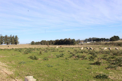 Chacra De 10 Hectáreas, En Ruta Interbalnearia, Maldonado
