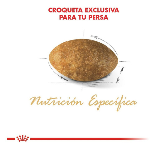 Imagen 5 de 7 de Alimento Royal Canin Feline Breed Nutrition Persian para gato adulto sabor mix en bolsa de 1.5 kg
