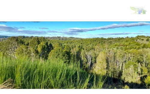 Se Vende Campo De 16 Hectareas Con Casa Y Galpon En Coquiao