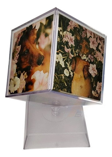 Foto Cubo Giratório 6,2 Cm - Porta Retrato - 20 Unidades Cor Cristal (transparente)