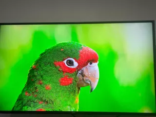 Tv LG 65 Pulgadas 4k