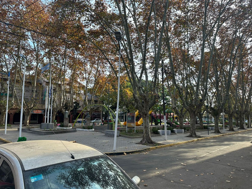 Local Sobre Boulevard San Martín En Plaza Plate