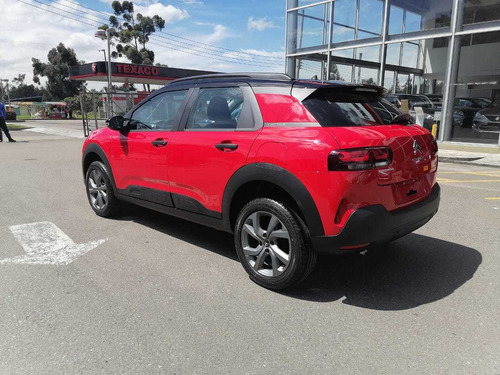 C4 Cactus 2022 Feel