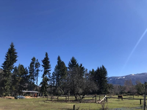 Imagen 6 de 8 de Venta Excelente 1,7 Hectarea En Quila Quina En Lago Lacar