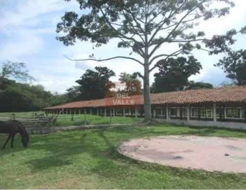 Buga, 23.200 M2, Se Vende Finca Avícola