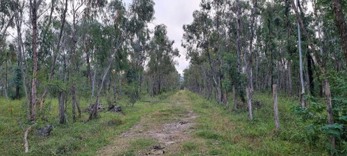 Venta Terreno En El Carril 600 M², San Antonio