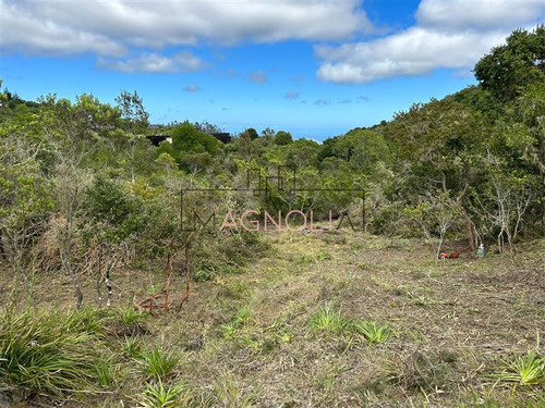 Sitio En Venta En Condominio Fundo Puertecillo, Topocalma