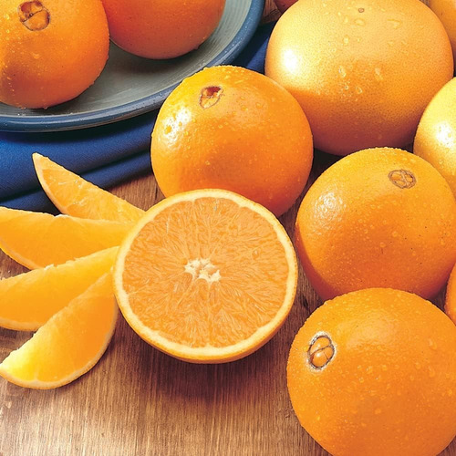 Arbol De Naranja De Ombligo (navel) Mas Semillas