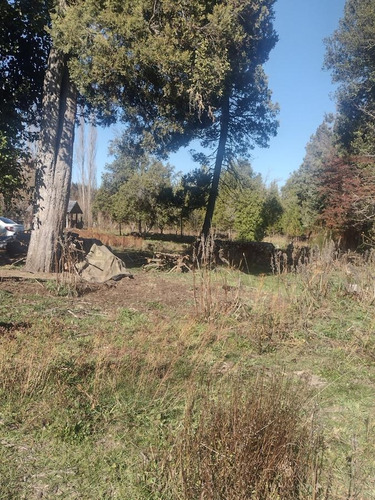 Imagen 4 de 14 de Campo - Mallin Ahogado