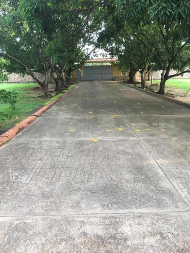 Imagen 12 de 19 de Finca Agropecuaria En Guárico Con Pista De Aterrizaje