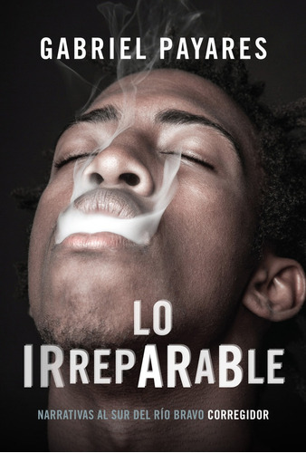 Lo Irreparable, De Gabriel Payares. Editorial Corregidor, Tapa Blanda En Español