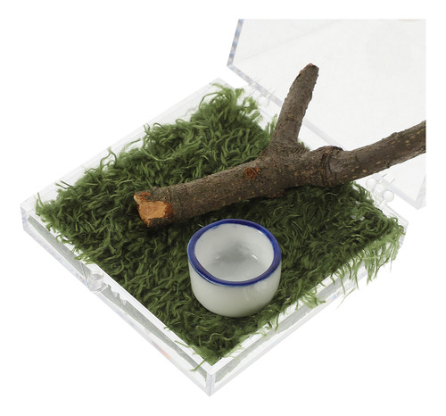 Caja De Cría De Insectos Y Arañas Saltarinas, 2 Unidades