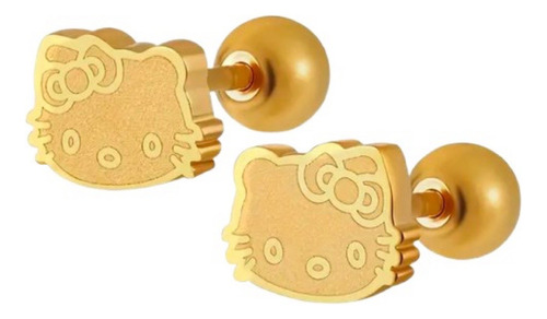 Aretes & Tornillos De Aretes